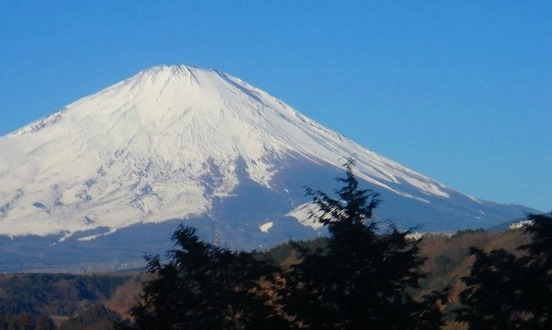 c0119160_1559376.jpg
