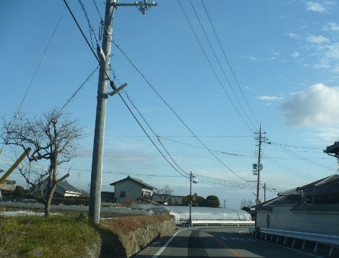 a0063364_23244286.jpg
