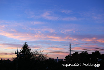 b0059664_961697.jpg