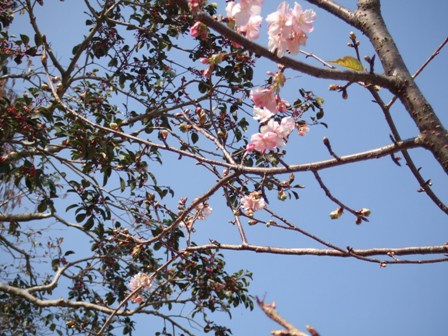 e0130465_10111273.jpg