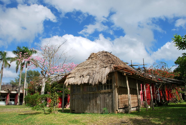 b0174068_22183716.jpg