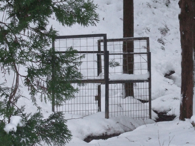 d0094868_21411255.gif
