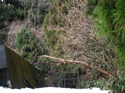 d0094868_2142119.gif