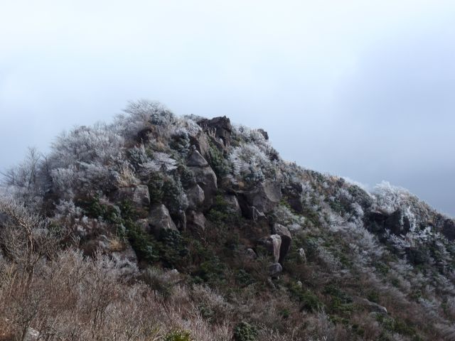 c0042869_20523396.jpg