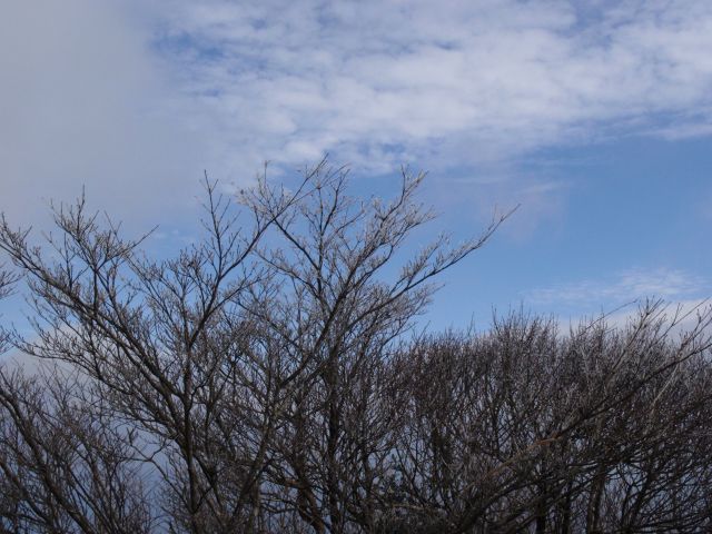 c0042869_20551347.jpg