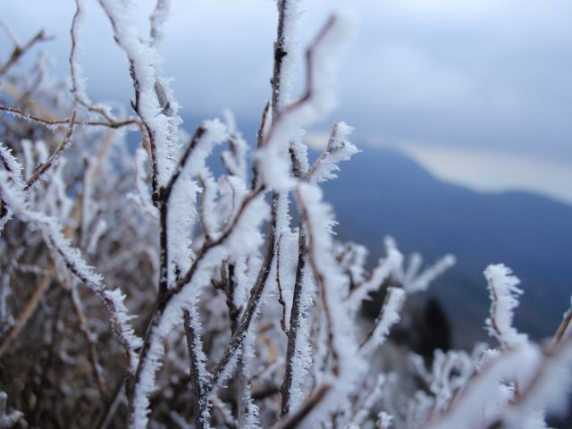 c0042869_2105662.jpg