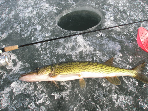 f0024887_22554032.jpg