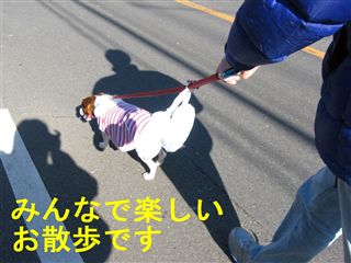 e0121589_145215.jpg