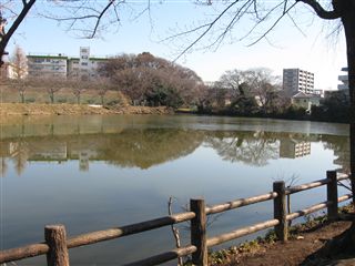e0121589_1463188.jpg