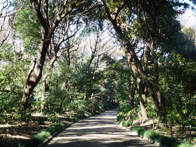 a0127090_23511048.jpg