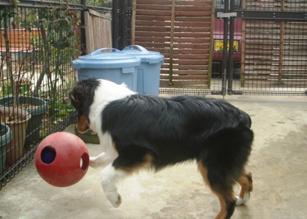 f0077697_13334617.jpg