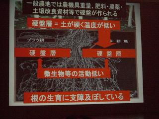 c0187298_195385.jpg
