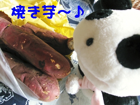 f0033598_22483761.jpg