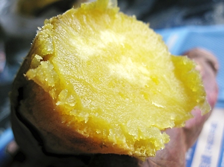 f0033598_22485226.jpg