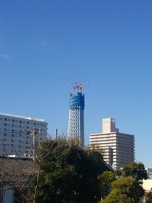 d0141800_1115712.jpg