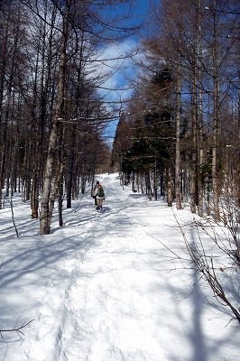 e0137200_18194232.jpg