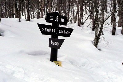 e0137200_1829486.jpg