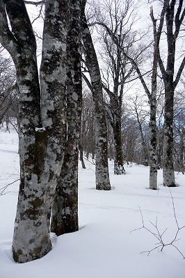 e0137200_18312368.jpg