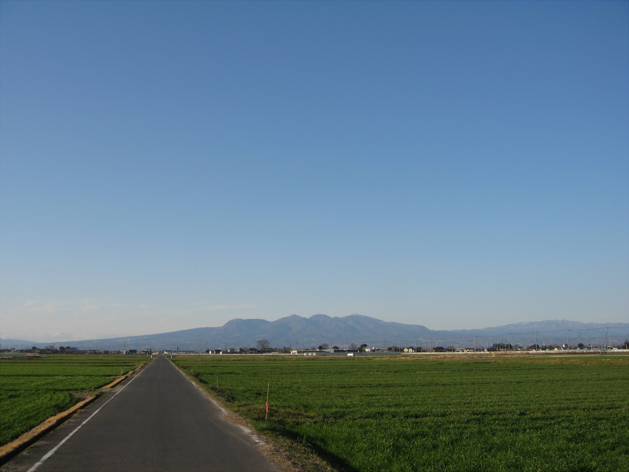 c0072801_23275779.jpg