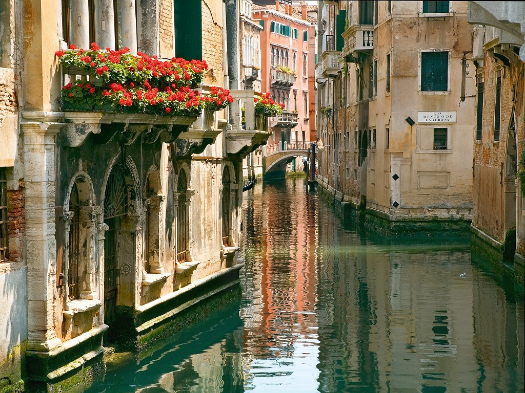 c0072801_44359.jpg