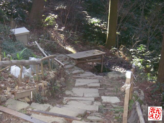 b0175402_23252332.jpg