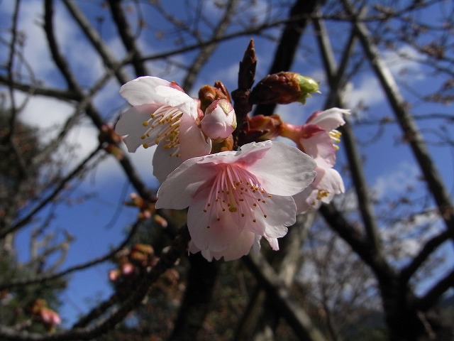 f0187402_21182921.jpg