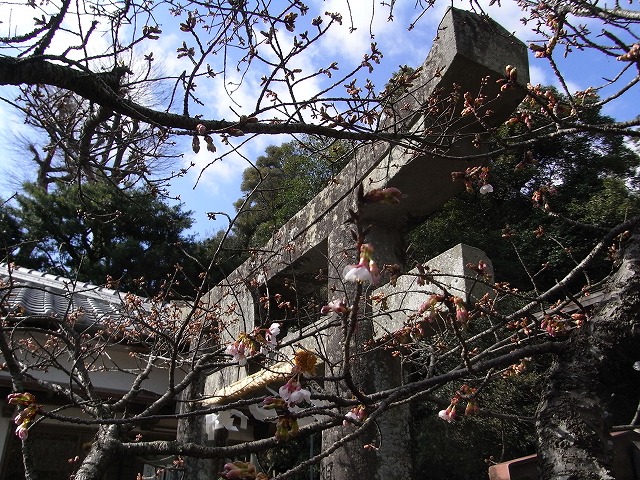 f0187402_21272789.jpg
