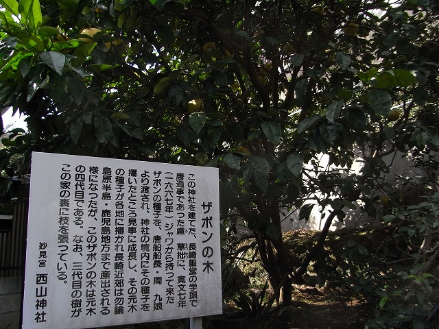 f0187402_21274988.jpg