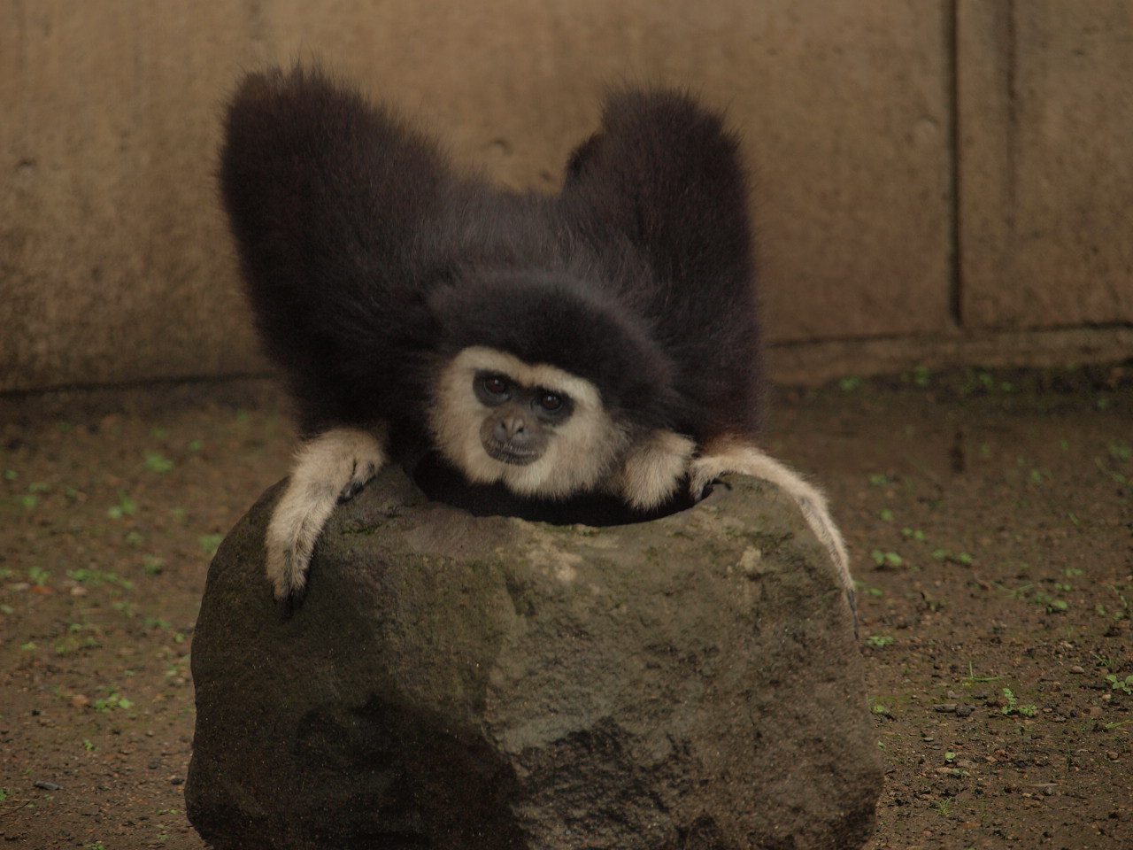 a0157704_550221.jpg