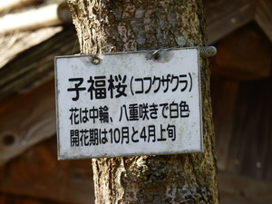 b0052108_10424767.jpg
