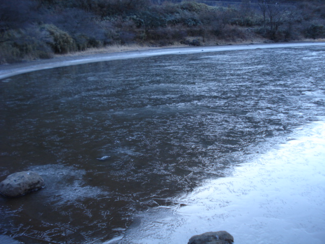 e0015108_16251822.jpg