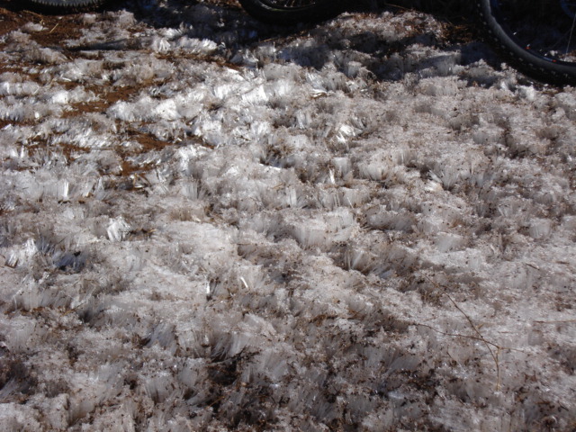 e0015108_16364937.jpg