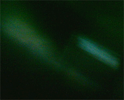 e0103408_1404634.gif