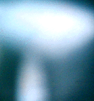 e0103408_1421389.gif