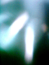 e0103408_143619.gif