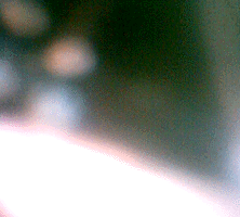 e0103408_1453330.gif