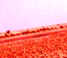 e0103408_149318.gif