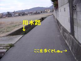 a0158613_15521981.jpg
