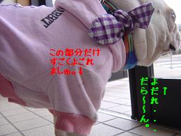 a0158613_16264458.jpg