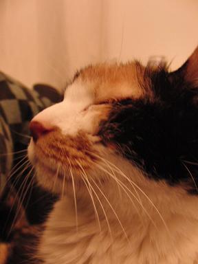 c0201113_22293878.jpg