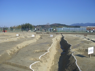 d0007913_22322872.jpg