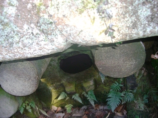d0007913_22552715.jpg
