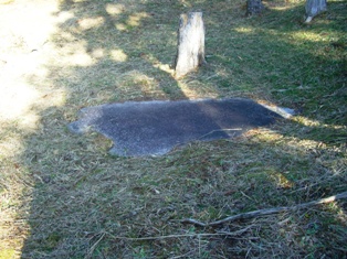 d0007913_232256.jpg