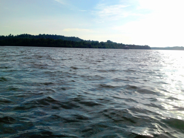 a0000014_225999.jpg