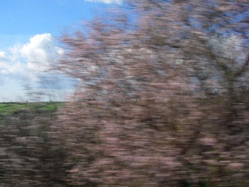 f0133814_2029991.jpg