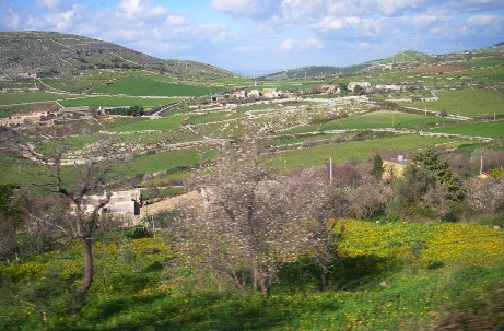 f0133814_20335859.jpg
