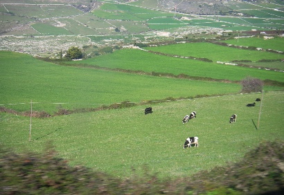 f0133814_20354378.jpg