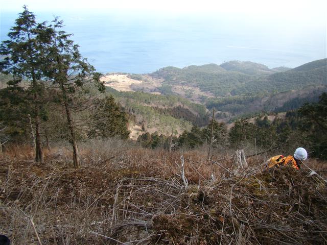 a0127015_10262624.jpg