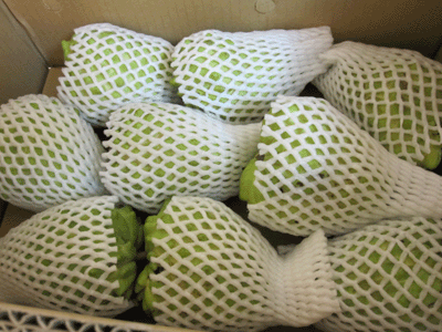 f0161318_23492442.gif