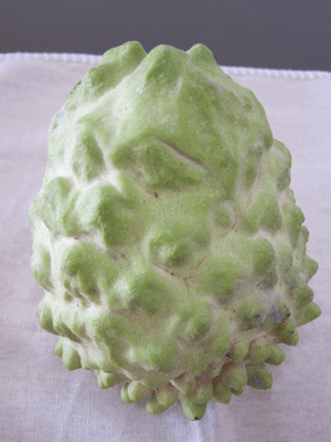 f0161318_23541679.gif